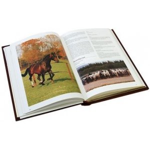Подарочная книга  "Лошади. Иллюстрированная энциклопедия"